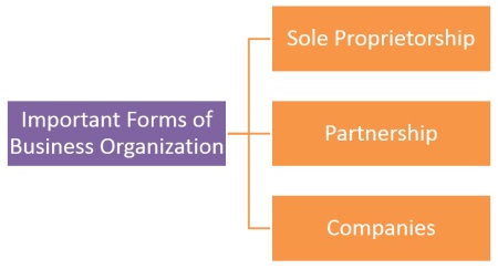 Business Organizations‎