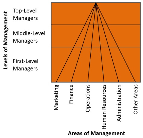 Managerial Levels and Areas